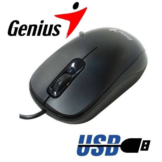 Mouse Genius Usb DX-110 Negro